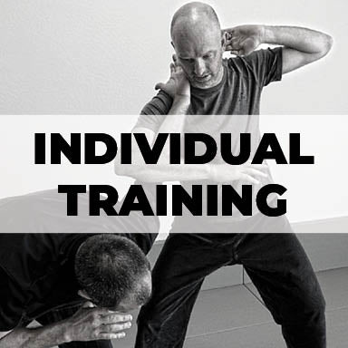 One Hour Individual Private Martial Arts Lesson